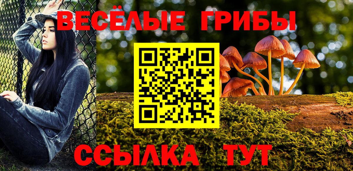 Псилоцибиновые грибы Psilocybine cubensis  Вход с VPN  Галлюциногенные грибы прущие грибы  Долгопрудный 