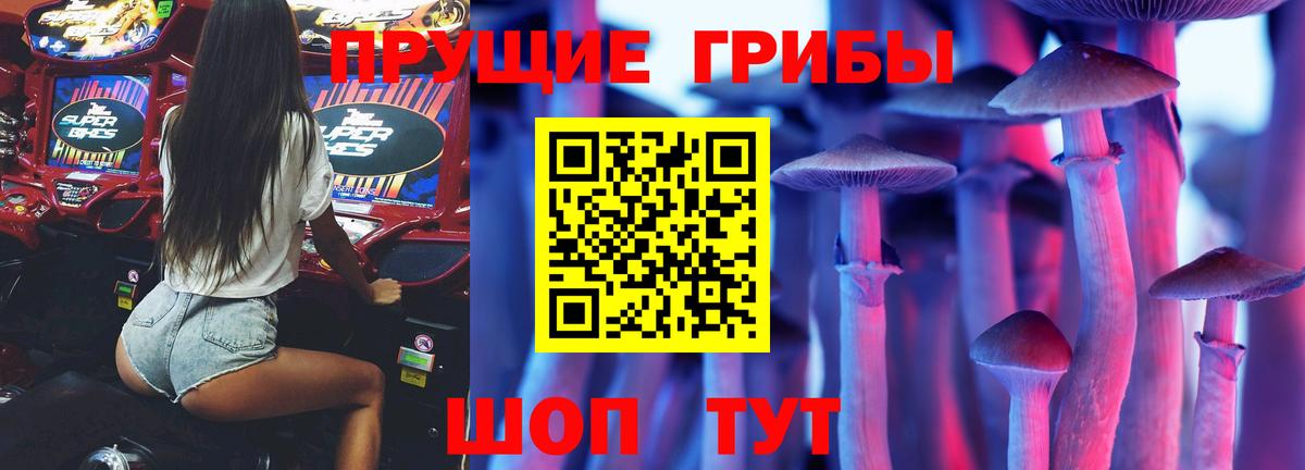 Галлюциногенные грибы Psilocybine cubensis Долгопрудный